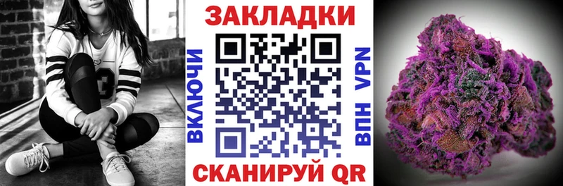 Как найти наркотики Новоаннинский АМФ  Псилоцибиновые грибы  COCAIN 