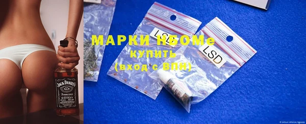 гидропоника Алзамай