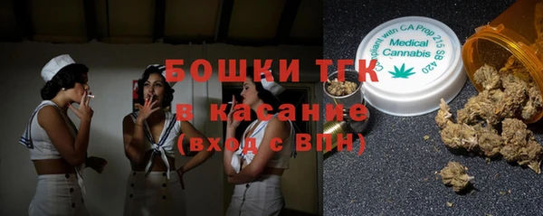 гидропоника Алзамай