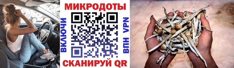 Галлюциногенные грибы GOLDEN TEACHER  Новоаннинский 